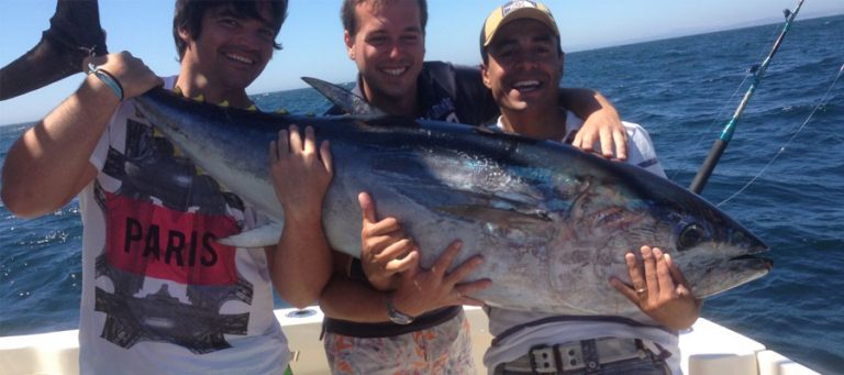 Marbella Fhishing Trollin Tuna
