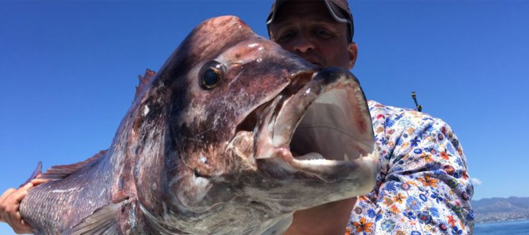 Pesca en Marbella mayo 2017