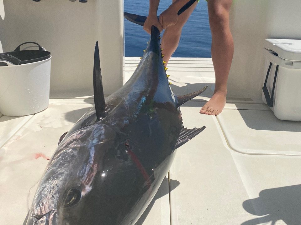 Pesca de altura de atún rojo en Marbella