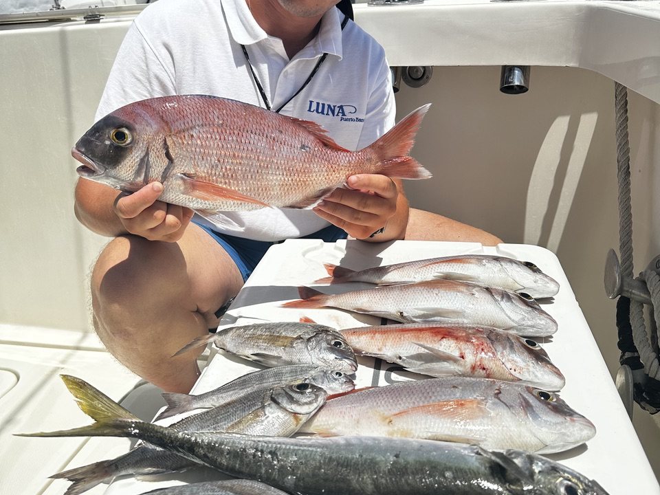 Pesca de fondo en Marbella desde Puerto Banús