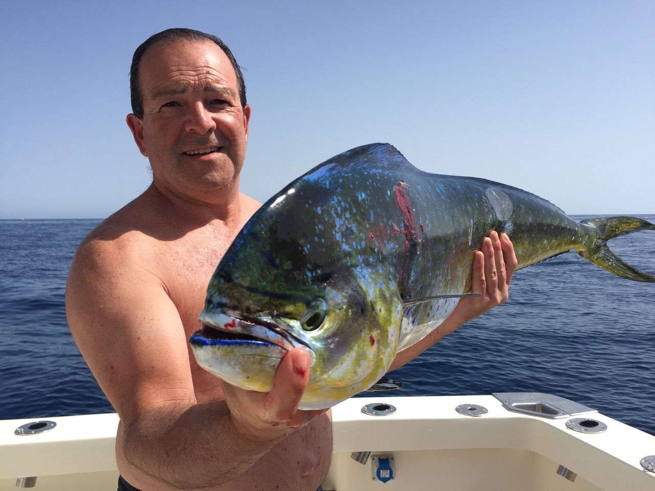 Mahi mahi (dorado) caught on a fishing trip in Marbella