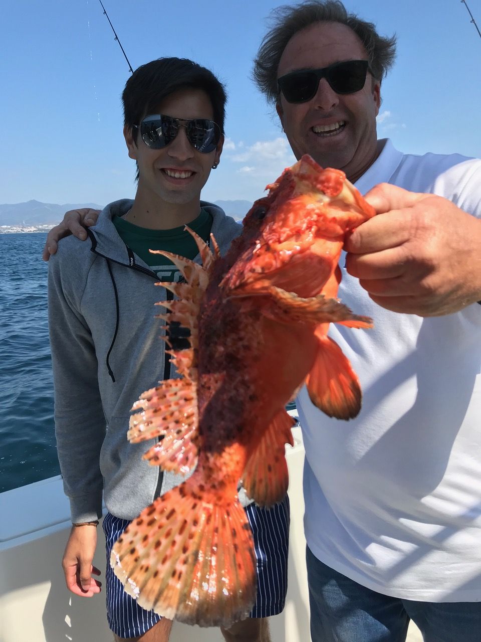 Scorpionfish caught on a fishing trip in Marbella