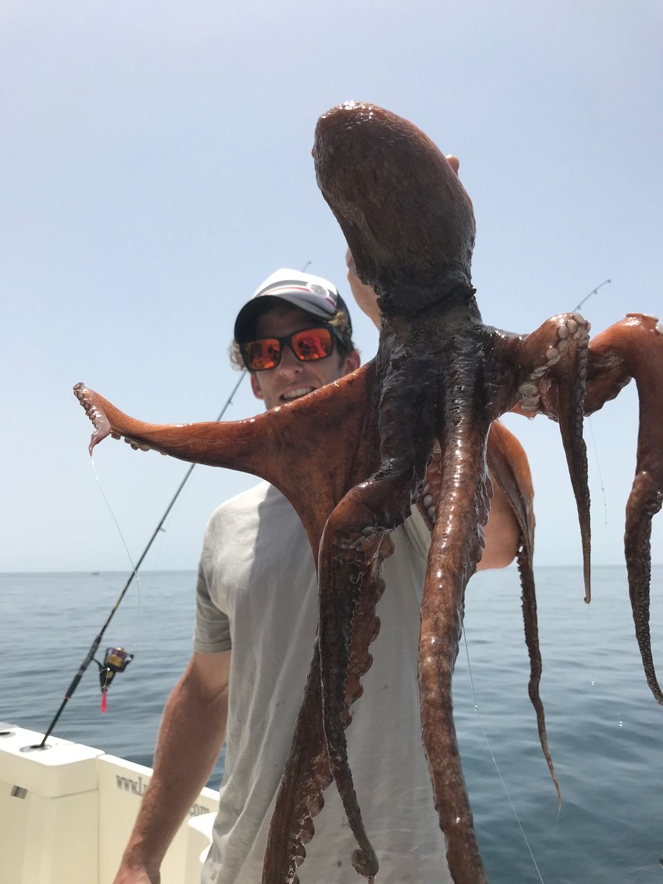 Octopus caught on a fishing trip in Marbella