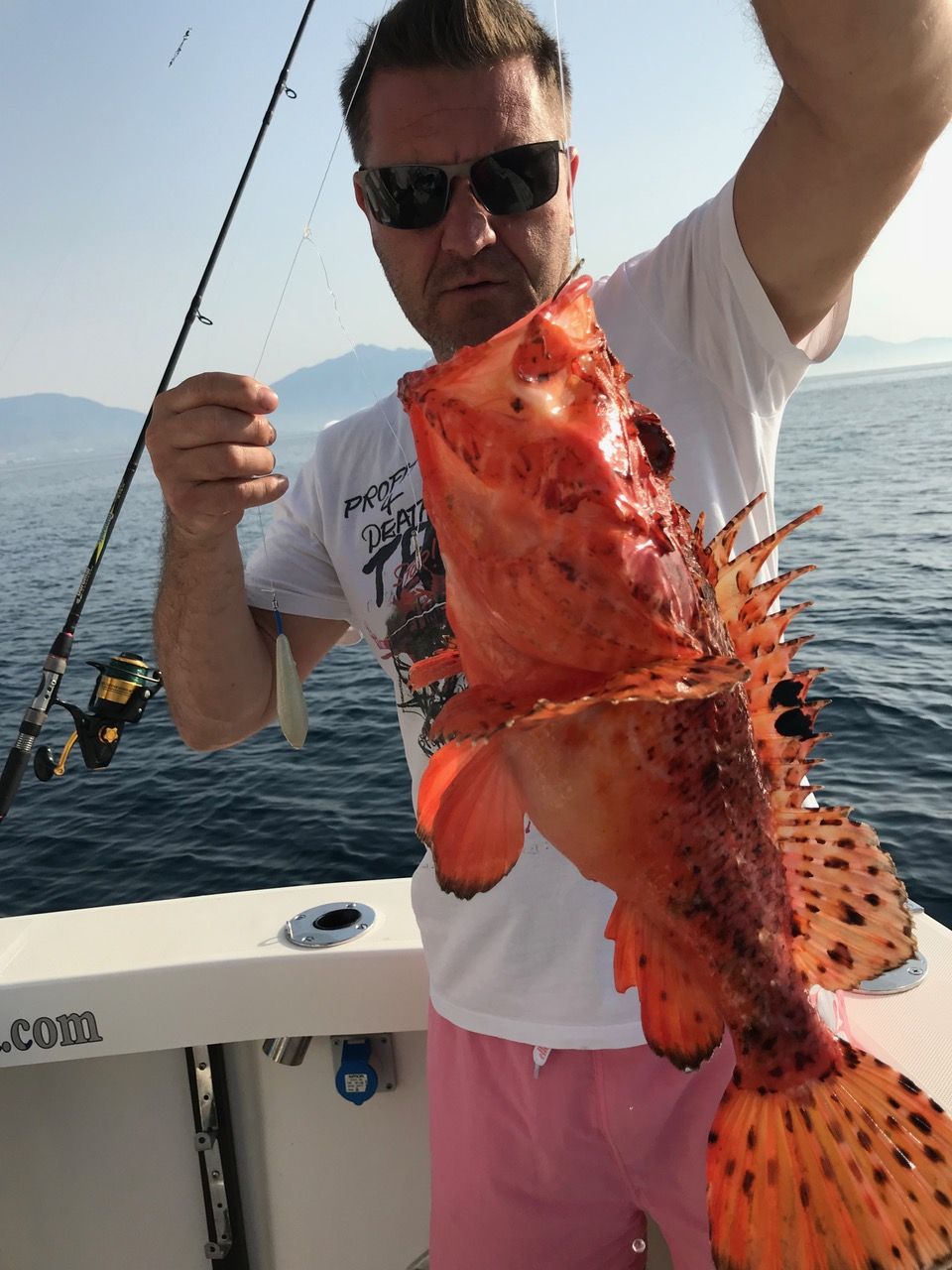Scorpionfish caught on a fishing trip in Marbella
