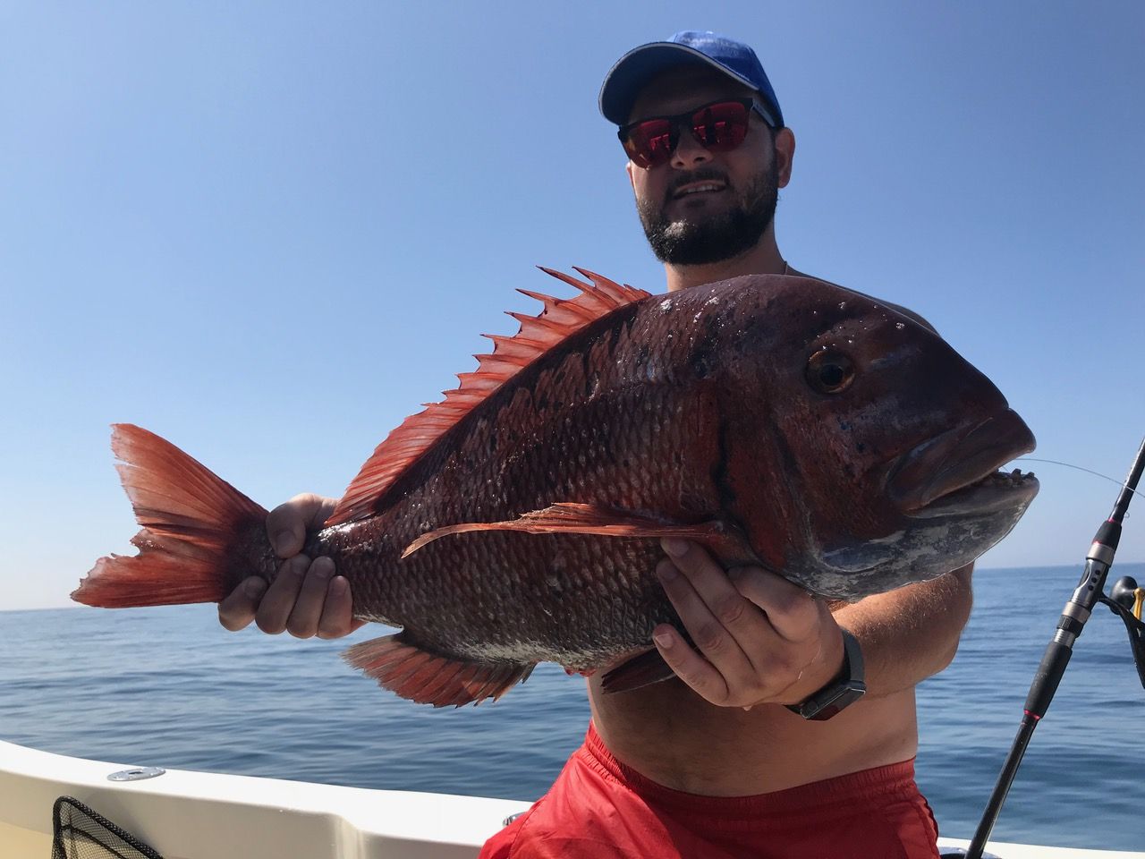 Red porgy caught on a fishing trip in Marbella