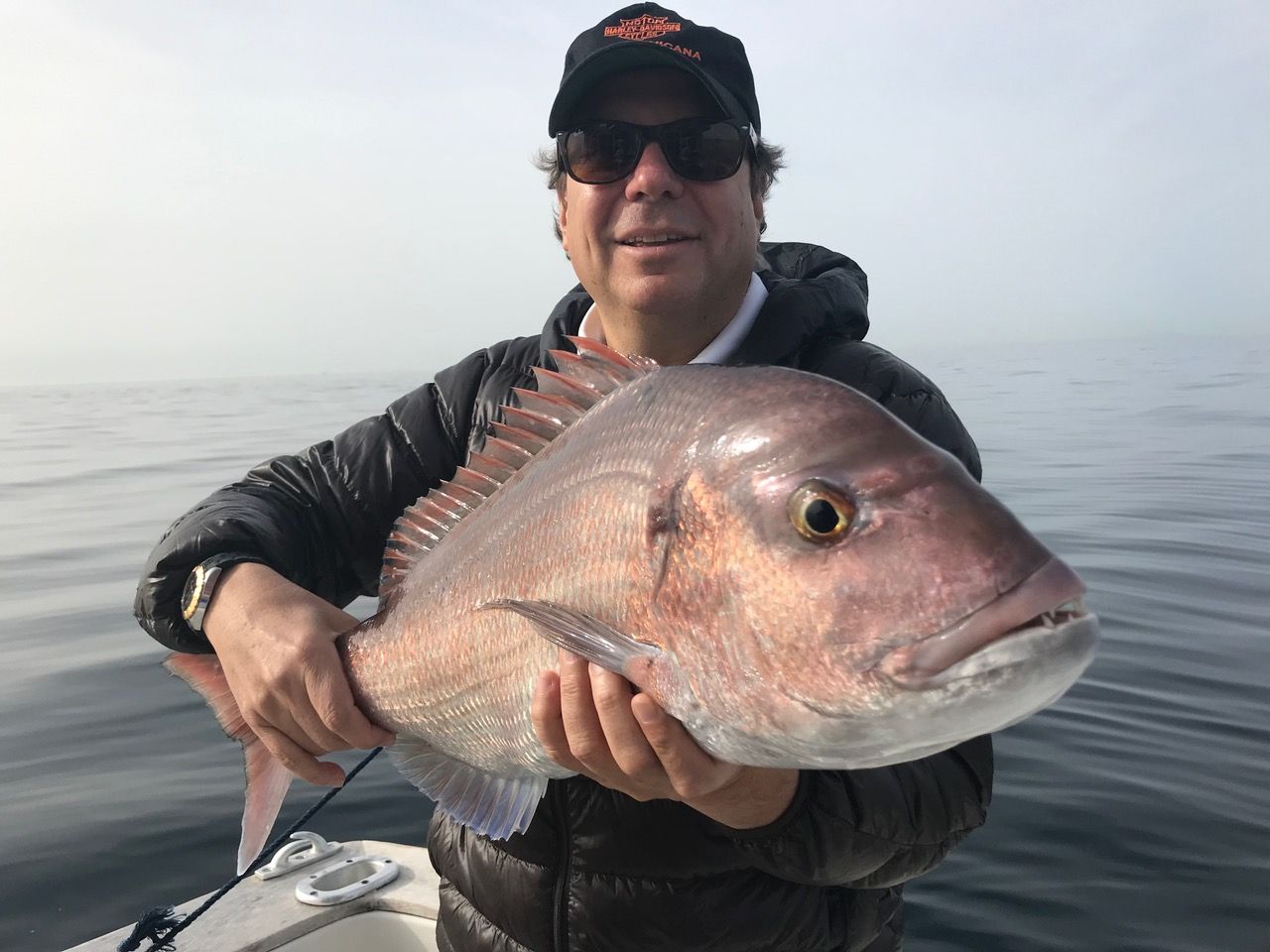 Red porgy caught on a fishing trip in Marbella