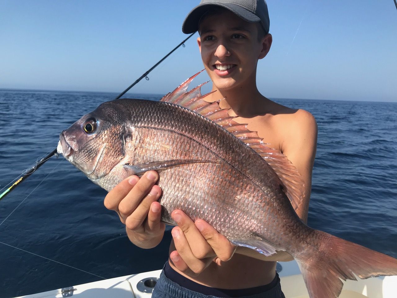 Red porgy caught on a fishing trip in Marbella