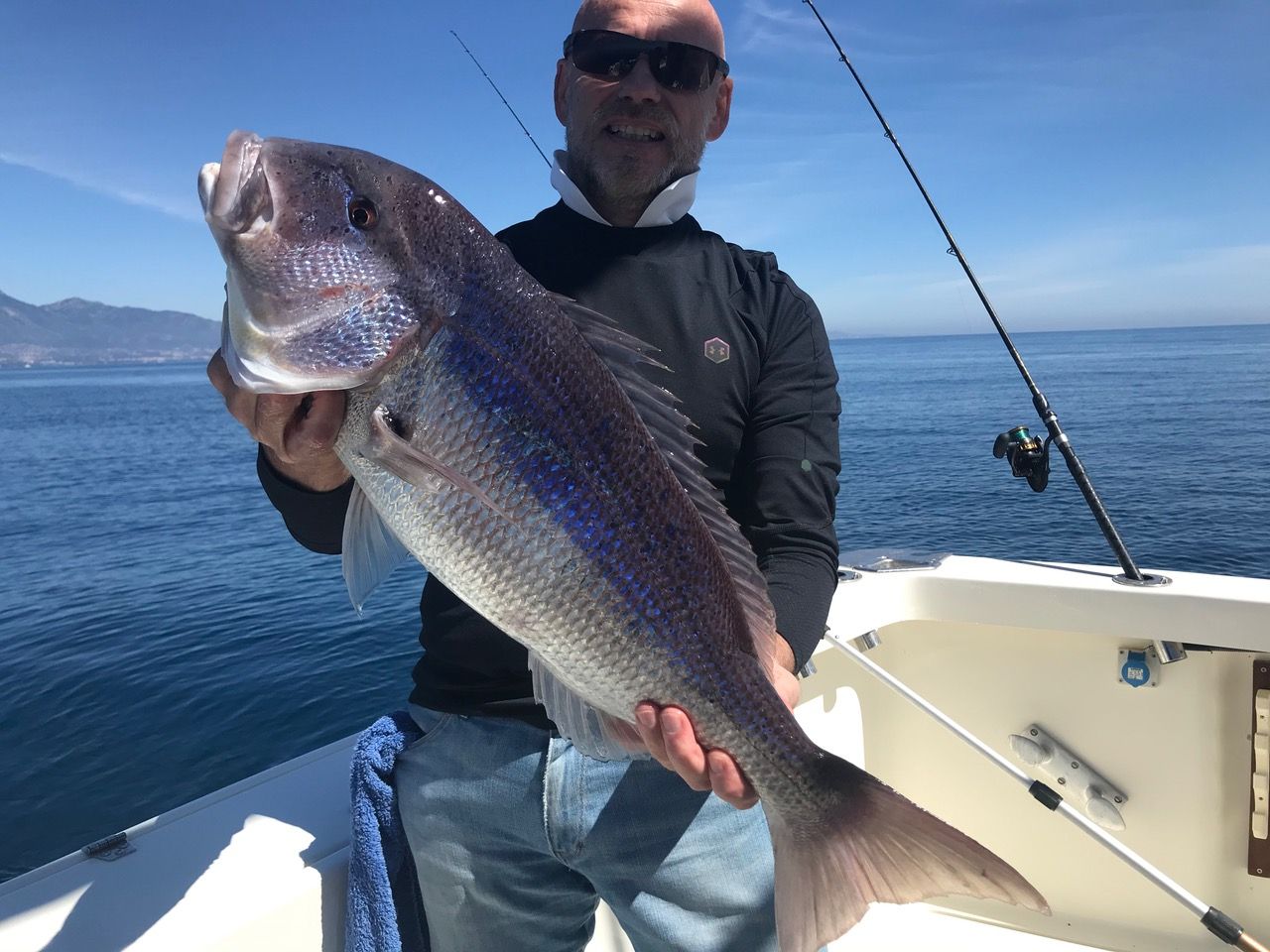 Dentex caught on a fishing trip in Marbella