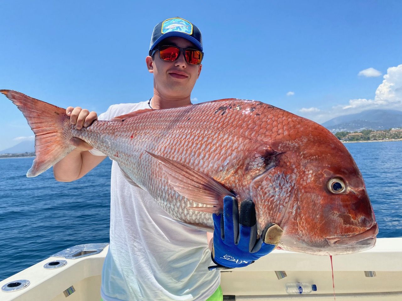 Red porgy caught on a fishing trip in Marbella