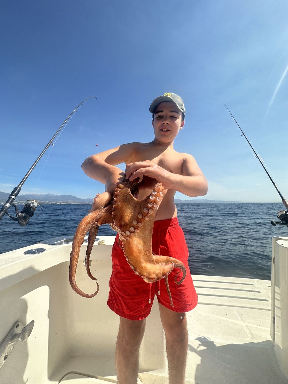 Octopus caught on a fishing trip in Marbella